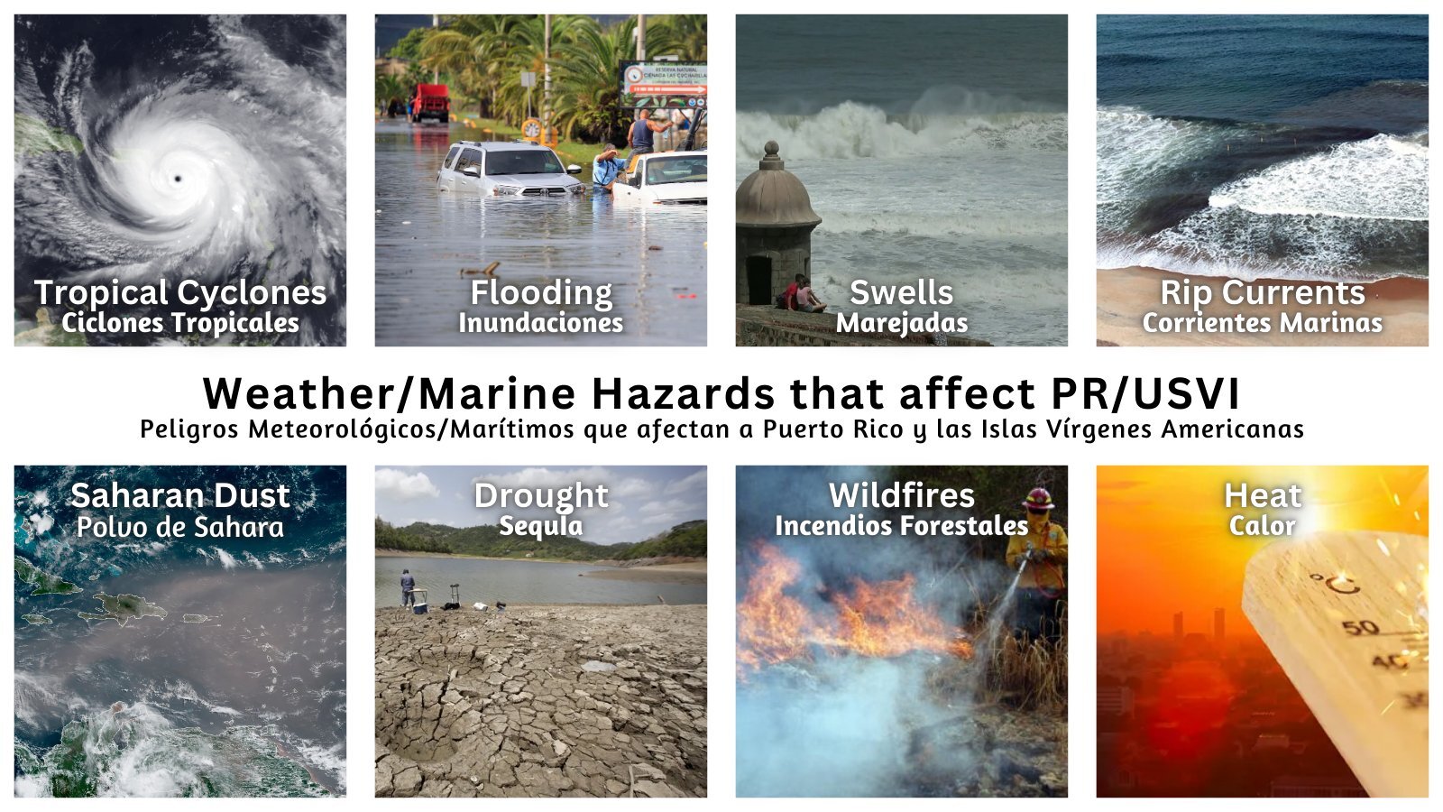 Graph displaying monthly temperature and rainfall trends for Charlotte Amalie, illustrating the tropical US Virgin Islands weather